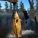 钓鱼模拟
