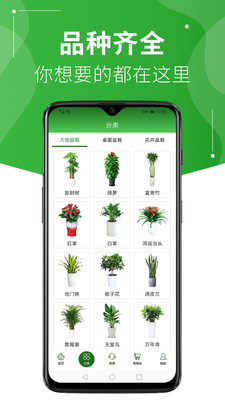 绿植到家app下载安装到手机