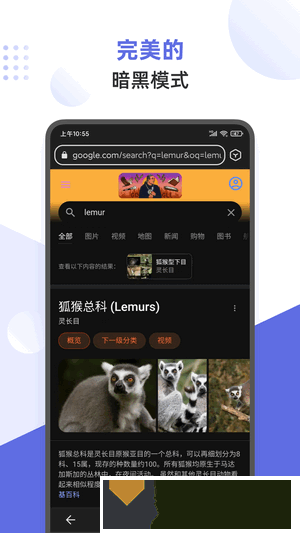 狐猴浏览器(lemur browser) 