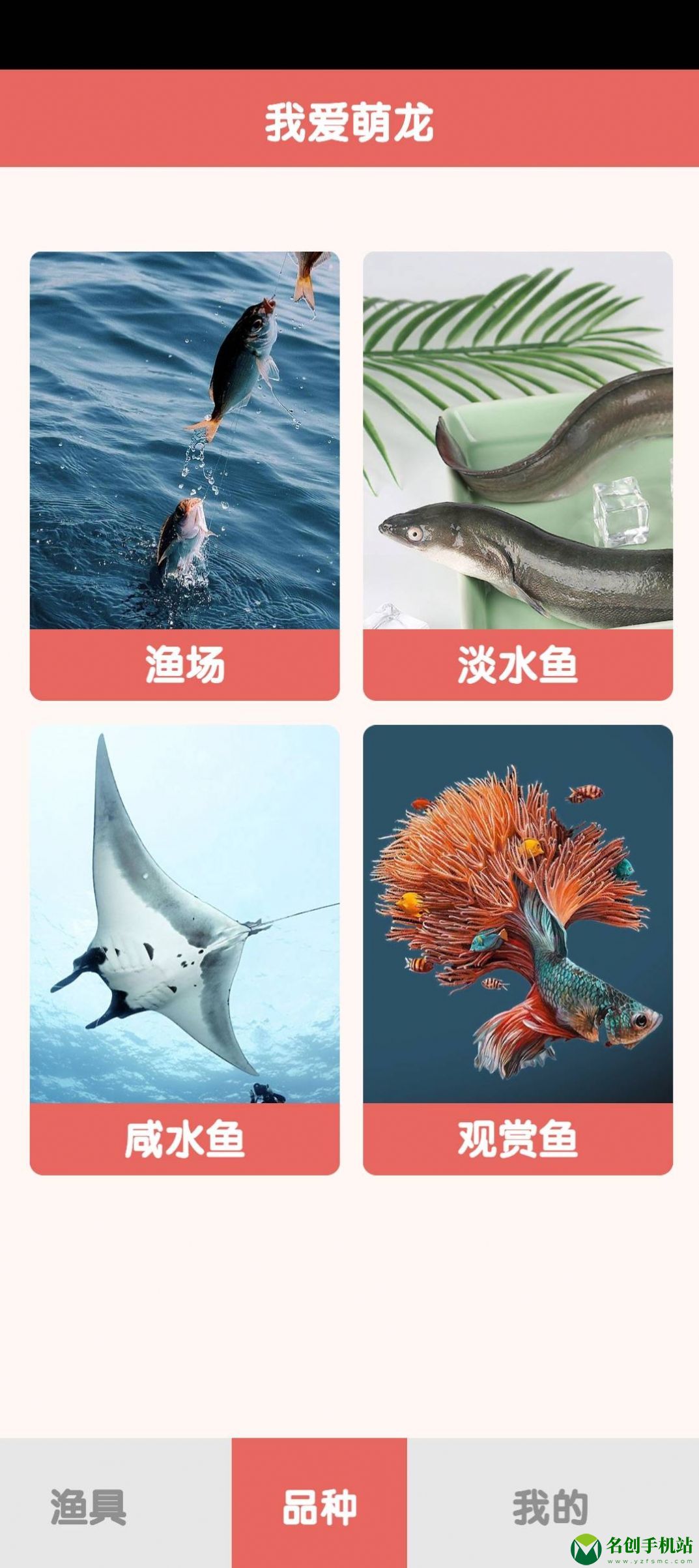 萌龙乐园海洋鱼类百科