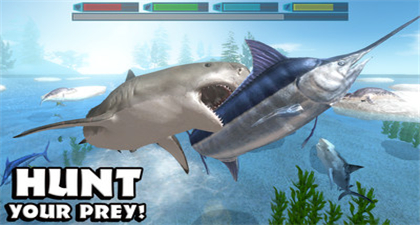 鲨鱼模拟器3d破解版下载
