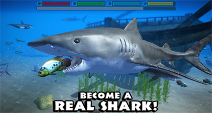 鲨鱼模拟器3d破解版下载