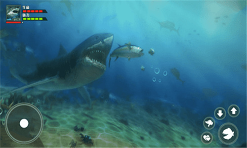 海底大猎杀3d手机版免费下载