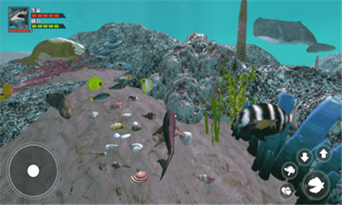 海底大猎杀最新汉化版游戏下载 v1.1