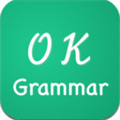 英语检查助手app